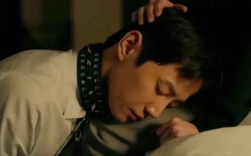 【西檬之家】K9是什么？字母圈宠物扮演与BDSM新人指南