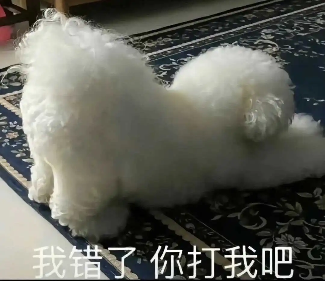 s属性 - 2023_12_05_21_26_IMG_9543
