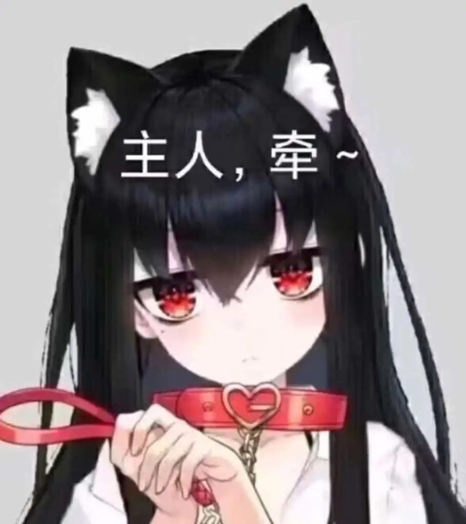 【西檬之家】TK是什么？字母圈新手入门必读指南