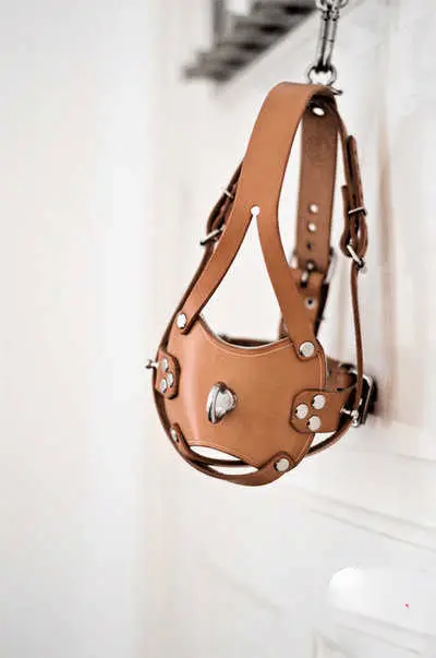 【西檬之家】Sub是什么？BDSM圈新人必读的角色解析