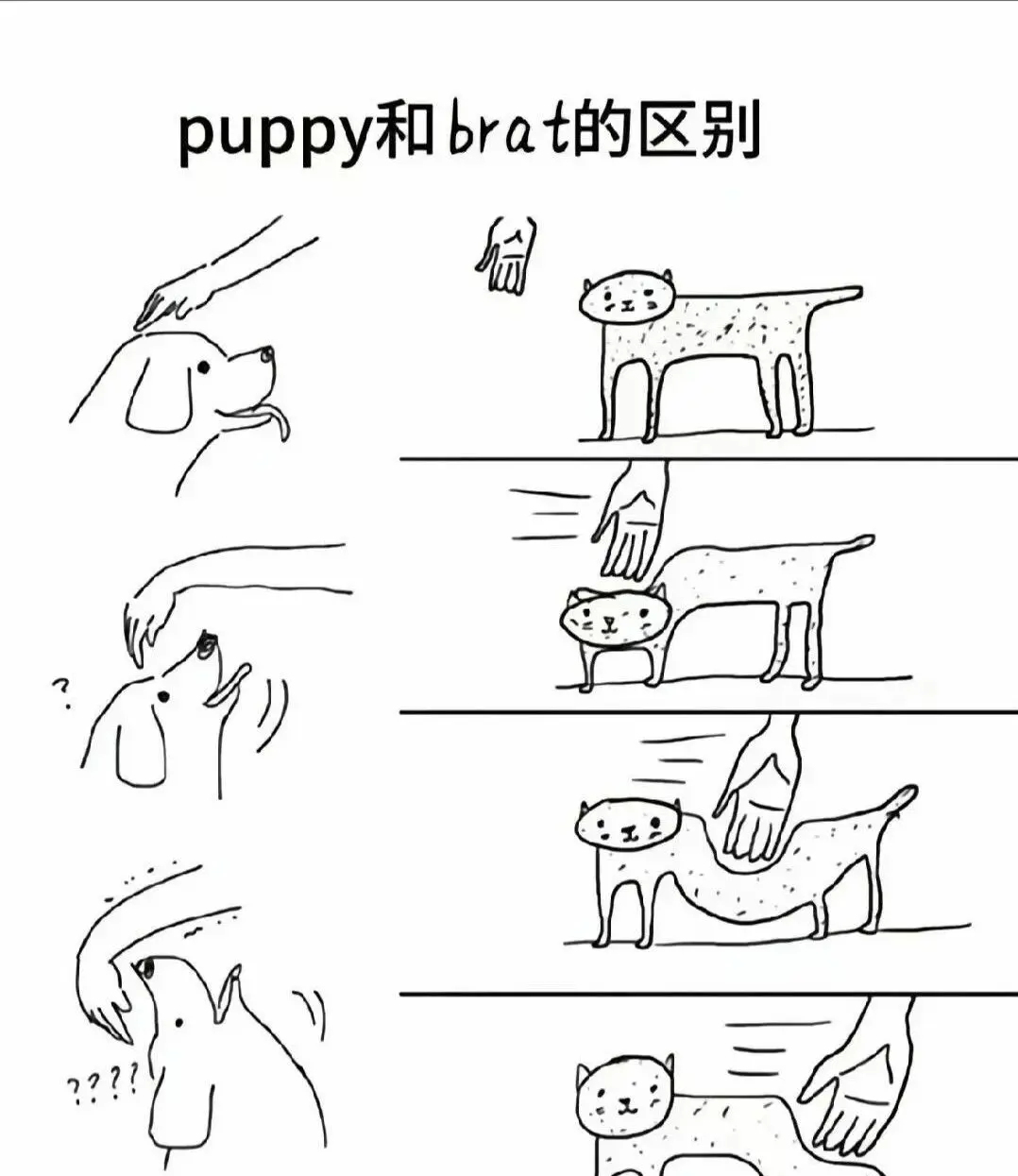 【西檬之家】BDSM新手必看：安全、术语与入圈指南