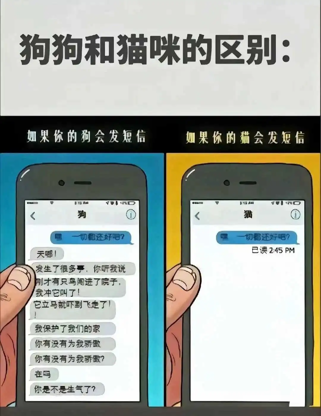 西檬之家-DDLG是什么？字母圈新人科普指南