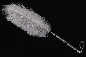【西檬之家】TK是什么意思？字母圈新手入门全解析