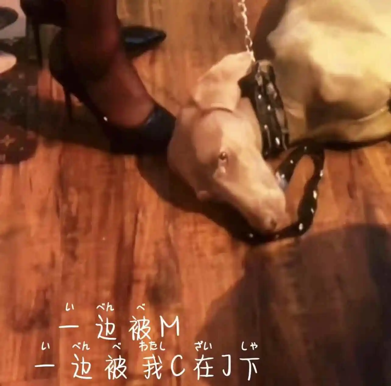 西檬之家-BDSM新人入圈指南：理解安全与信任的核心